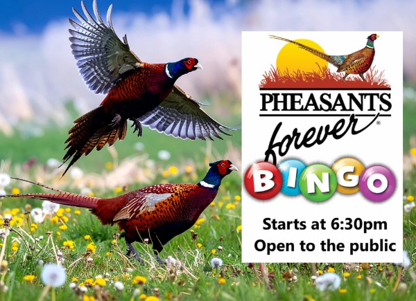 Pheasants Forever Bingo Benefit